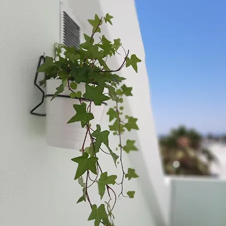 Bemar Loft Lägenhet