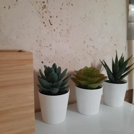 Apartment Bemar Loft