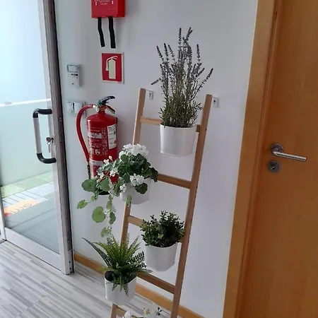 Bemar Loft *
